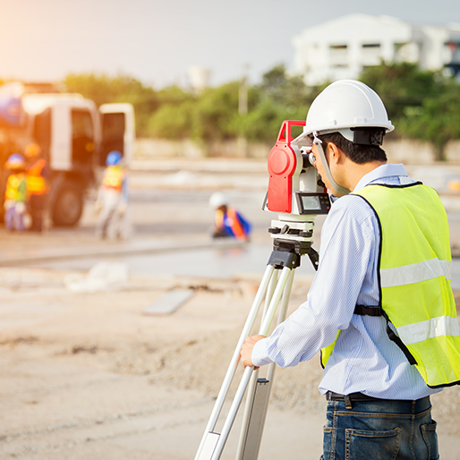 Land Surveyor